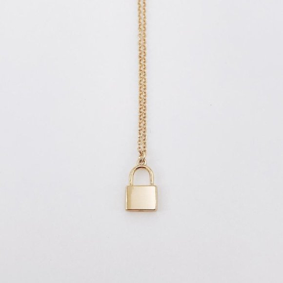 2/$25🍒 4EVER Long Lock Necklace 🔒 - Picture 3 of 7